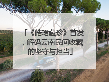 《皓珺藏珍》首发，解码云南民间收藏的坚守与担当
