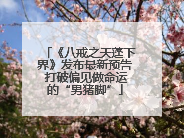 《八戒之天蓬下界》发布最新预告 打破偏见做命运的“男猪脚”