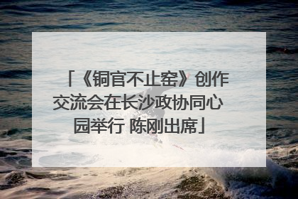 《铜官不止窑》创作交流会在长沙政协同心园举行 陈刚出席