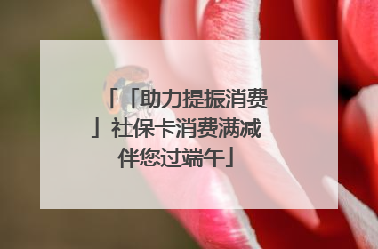 「助力提振消费」社保卡消费满减伴您过端午