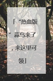 “热血版”蒜鸟来了，来这里可领