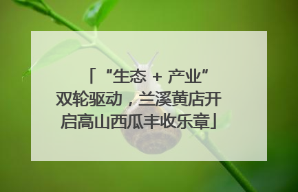 “生态 + 产业”双轮驱动，兰溪黄店开启高山西瓜丰收乐章