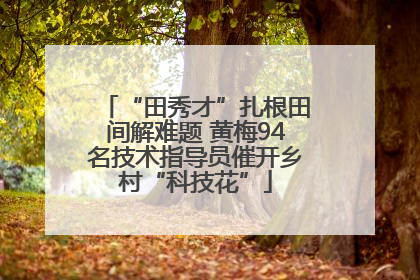 “田秀才”扎根田间解难题 黄梅94名技术指导员催开乡村“科技花”