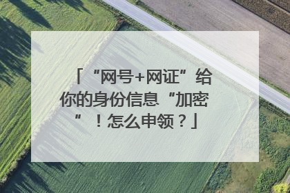 “网号+网证”给你的身份信息“加密”！怎么申领？