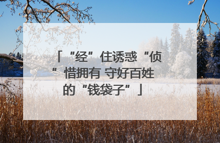 “经”住诱惑“侦”惜拥有 守好百姓的“钱袋子”