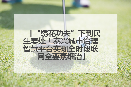 “绣花功夫”下到民生要处！泰兴城市治理智慧平台实现全时段联网全要素细治