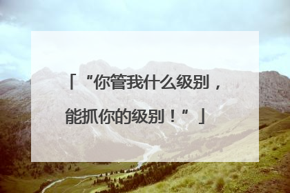 “你管我什么级别，能抓你的级别！”