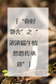 “你好 邻舍”之“浓浓端午情 悠悠传承意”