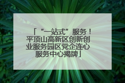 “一站式”服务！平顶山高新区创新创业服务园区党企连心服务中心揭牌
