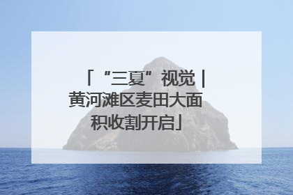 “三夏”视觉｜黄河滩区麦田大面积收割开启