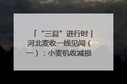 “三夏”进行时｜河北麦收一线见闻（一）：小麦机收减损“竞技” 农机高手麦田“过招”