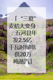 “三夏”麦秸大变身：五河县年发2.5亿千瓦时绿电 供20万吨蒸汽