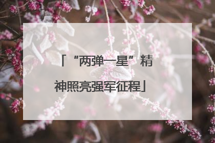 “两弹一星”精神照亮强军征程