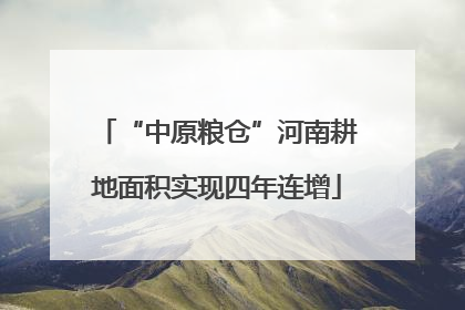 “中原粮仓”河南耕地面积实现四年连增