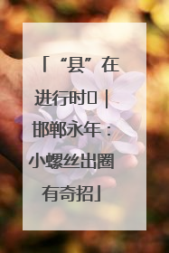 “县”在进行时⑬｜邯郸永年：小螺丝出圈有奇招