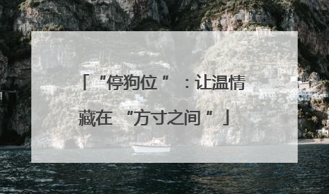 “停狗位 ”：让温情藏在 “方寸之间 ”