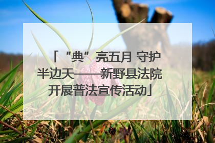 “典”亮五月 守护半边天——新野县法院开展普法宣传活动