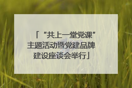 “共上一堂党课”主题活动暨党建品牌建设座谈会举行