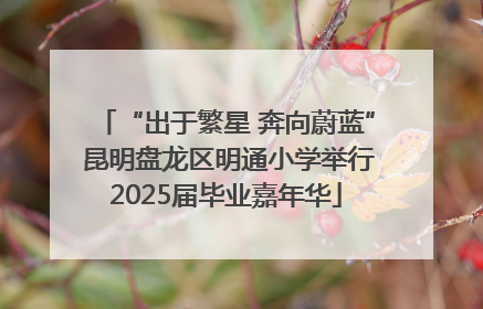 “出于繁星 奔向蔚蓝” 昆明盘龙区明通小学举行2025届毕业嘉年华