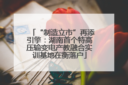 “制造立市”再添引擎：湖南首个特高压输变电产教融合实训基地在衡落户