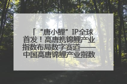 “唐小鲤”IP全球首发！高唐携锦鲤产业指数布局数字赛道——中国高唐锦鲤产业指数暨“唐小鲤”IP全球首发仪式在杭州举行