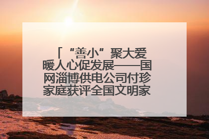 “善小”聚大爱 暖人心促发展——国网淄博供电公司付珍家庭获评全国文明家庭背后的文明密码