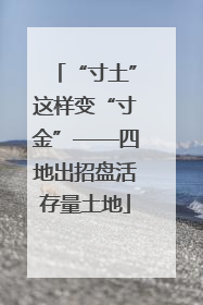 “寸土”这样变“寸金”——四地出招盘活存量土地