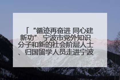 “循迹再奋进 同心建新功” 宁波市党外知识分子和新的社会阶层人士、归国留学人员走进宁波舟山港穿山港区