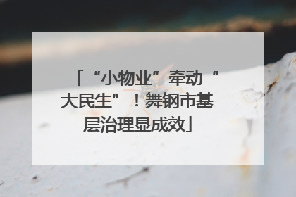 “小物业”牵动“大民生”！舞钢市基层治理显成效