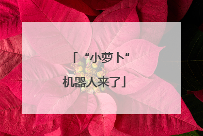 “小萝卜”机器人来了