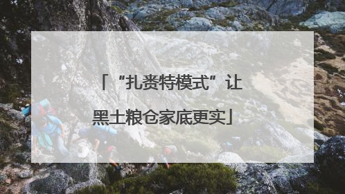 “扎赉特模式”让黑土粮仓家底更实
