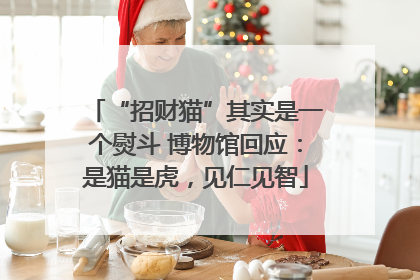 “招财猫”其实是一个熨斗 博物馆回应：是猫是虎，见仁见智