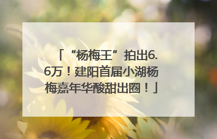 “杨梅王”拍出6.6万！建阳首届小湖杨梅嘉年华酸甜出圈！