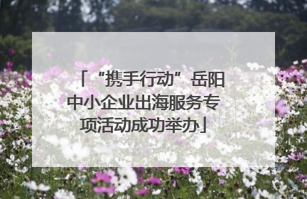 “携手行动”岳阳中小企业出海服务专项活动成功举办