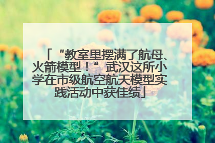“教室里摆满了航母、火箭模型！”武汉这所小学在市级航空航天模型实践活动中获佳绩