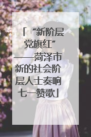 “新阶层 党旗红”——菏泽市新的社会阶层人士奏响七一赞歌