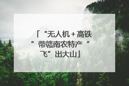 “无人机＋高铁”带赣南农特产“飞”出大山