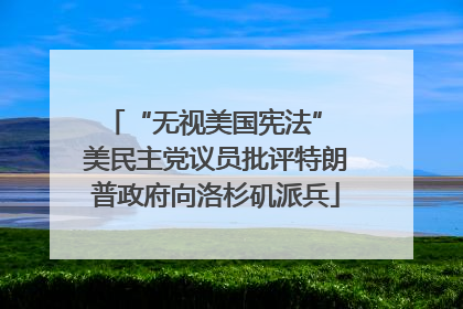 “无视美国宪法” 美民主党议员批评特朗普政府向洛杉矶派兵