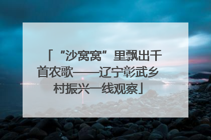 “沙窝窝”里飘出千首农歌——辽宁彰武乡村振兴一线观察