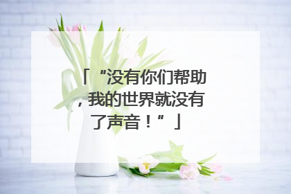 “没有你们帮助，我的世界就没有了声音！”
