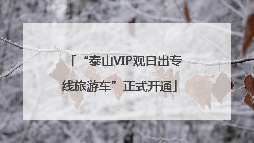 “泰山VIP观日出专线旅游车”正式开通