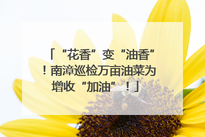 “花香”变“油香”！南漳巡检万亩油菜为增收“加油”！