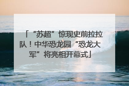 “苏超”惊现史前拉拉队！中华恐龙园“恐龙大军”将亮相开幕式