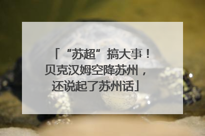 “苏超”搞大事！贝克汉姆空降苏州，还说起了苏州话