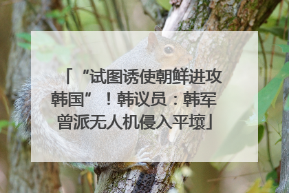 “试图诱使朝鲜进攻韩国”！韩议员：韩军曾派无人机侵入平壤