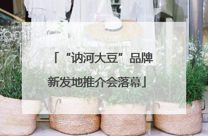 “讷河大豆”品牌新发地推介会落幕