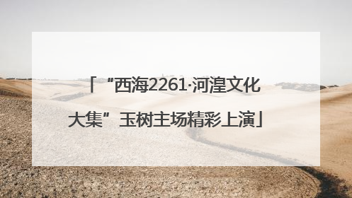 “西海2261·河湟文化大集”玉树主场精彩上演