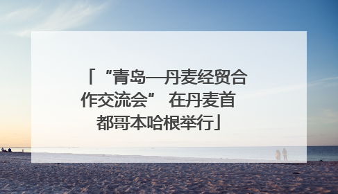 “青岛—丹麦经贸合作交流会” 在丹麦首都哥本哈根举行