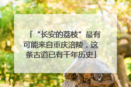 “长安的荔枝”最有可能来自重庆涪陵，这条古道已有千年历史