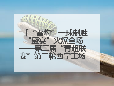 “雪豹”一球制胜 “盛宴”火爆全场——第二届“青超联赛”第二轮西宁主场比赛见闻